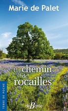 Un chemin de rocailles - de