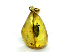 Pendentif Ambre 2 Insectes