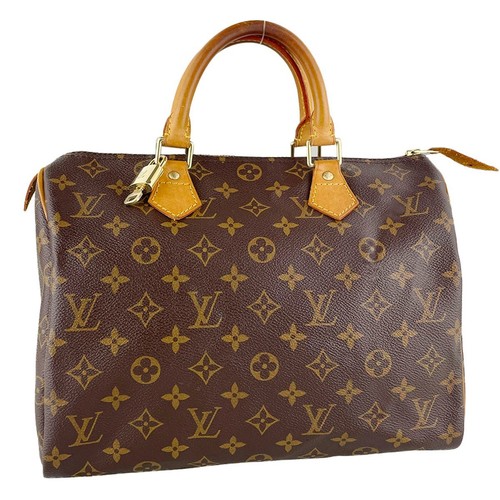 Sac main louis vuitton - main,