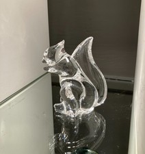 Saint Louis. Ecureuil en