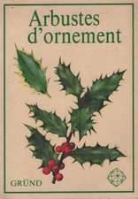 Arbustes d'ornement - Jan Tykac - V2205309