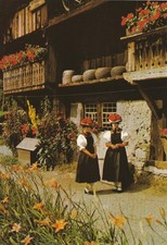 ALLEMAGNE - FORÊT NOIRE