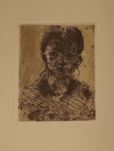 Vollard ambroise paul - vollard,