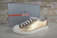 PRADA 36,5 Sneaker Chaussures