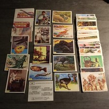 Lot images panini animaux - lot,