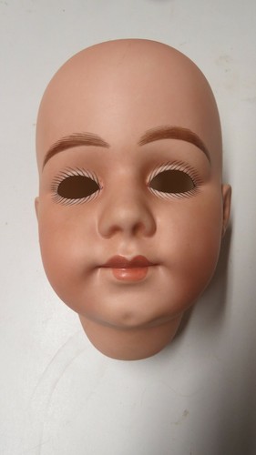 Tête seule reproduction de - seule,