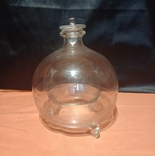 gobe mouche attrape guêpe