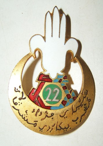 Insigne rgt de - insigne,