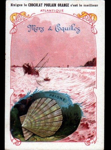 Image chromo chocolat poulain - image,