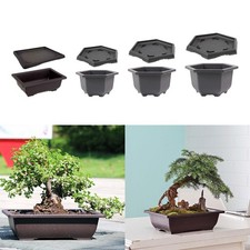 Pots d'entraînement avec