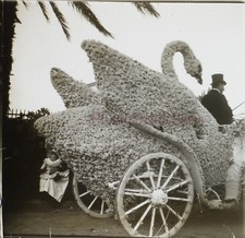 Carnaval Char fleuri Cygne c1910 Photo Stereo Plaque de verre V26L23n