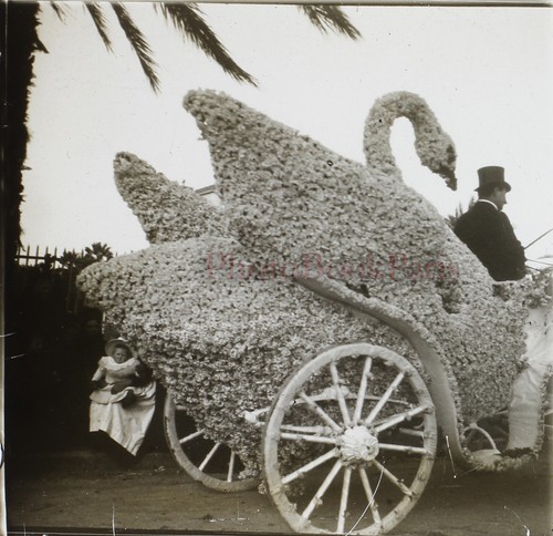 Carnaval char fleuri cygne - carnaval,