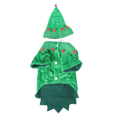 Vetement chien petite taille - chien,