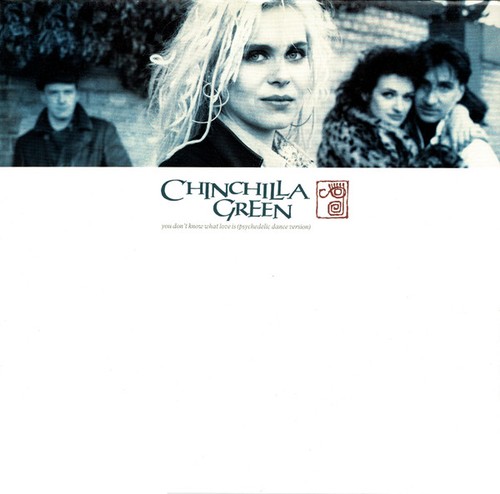 Chinchilla green you don - chinchilla,