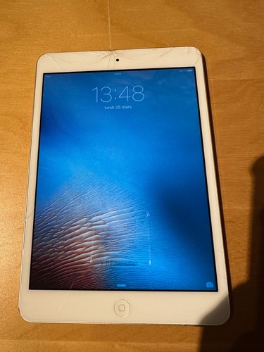 Apple ipad mini 1ère - apple,
