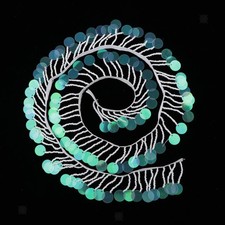 Paillettes perle frange gland