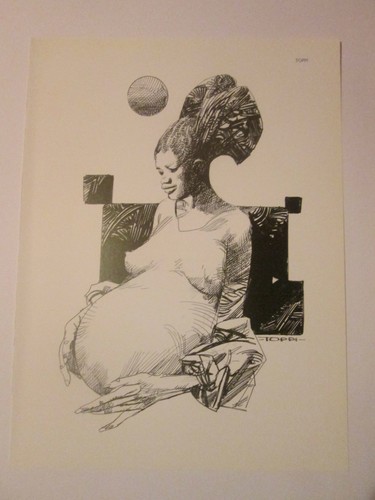 Art print vintage sergio - art, toppi