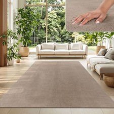 Tapis poil ras salon - ras,