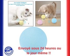 Jouets Interactif pour chat