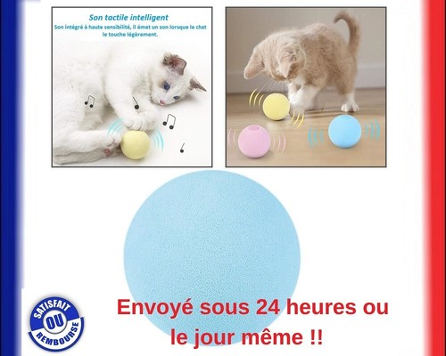 Jouets interactif pour chat - jouets,