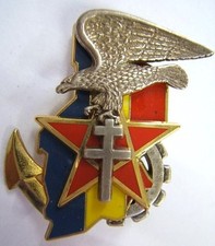 Insigne rima operation - insigne,