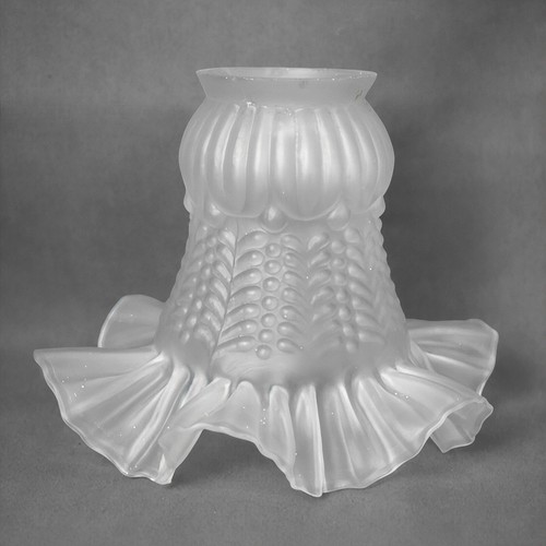 Tulipe verre dépoli lustre - tulipe, en