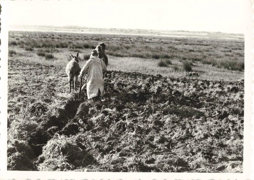 Ancienne photo 1960 maroc - photo,
