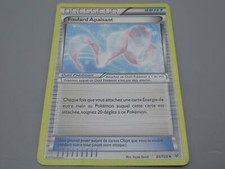 Pokemon Objet Foulard Apaisant