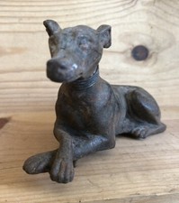 Ancien Lévrier Greyhound