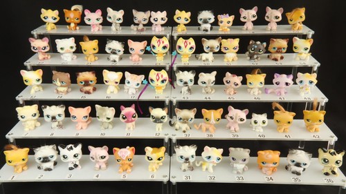 Chats lps nombreux modèles - lps,,