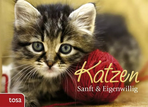Katzen sanft eigenwillig - sanft,