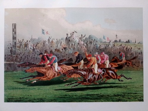 Hippisme couse chevaux - hippisme,