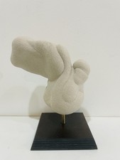 Gogotte sandstone concretion