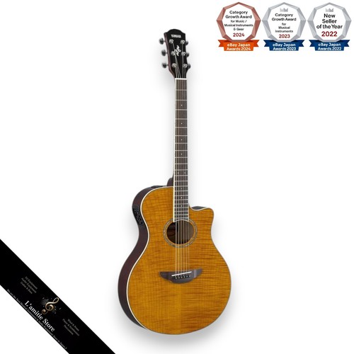 Guitare acoustique électrique