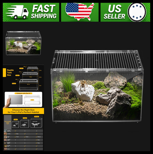Reptile terrarium - reptile,