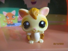 Petshop chauve-souris #990