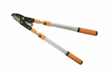 Sécateur Télescopique