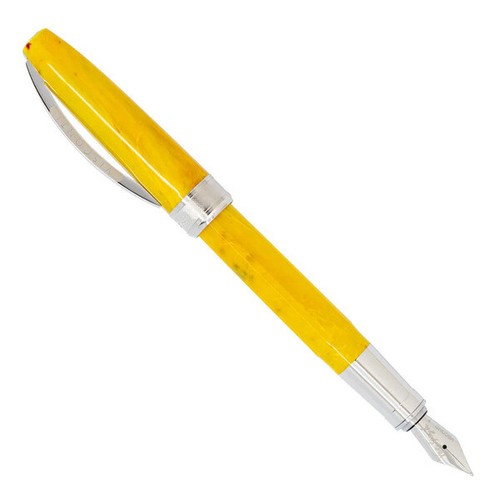 Stylo plume visconti - visconti, van