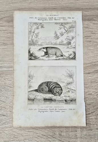 Buffon histoire naturelle 1850 - buffon,