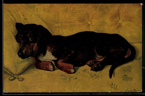 Carte postale artiste teckel - carte,