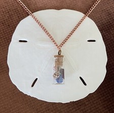 Miniature Seashell Bottle