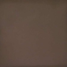 Morceau de cuir de veau lisse