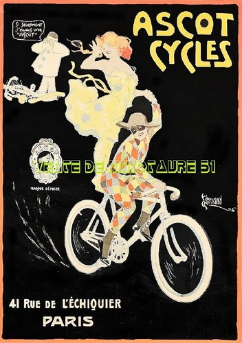 Cycles ascot arlequin - cycles,
