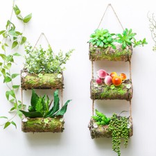 Extérieur Fleur Suspendu