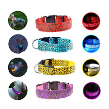 2 Colliers Lumineux pour Chat