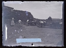 Travaux agricoles PHOTO NEGATIVE c1900 Plaque de verre Vintage V43