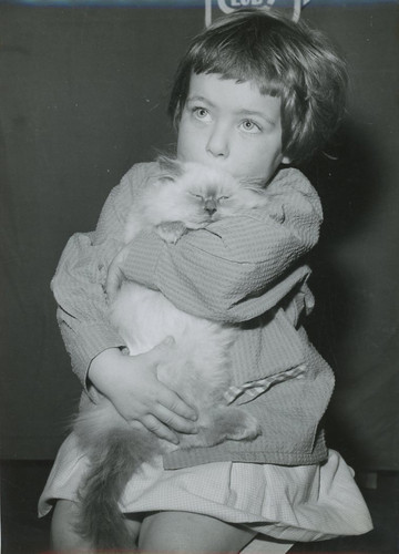 Une fillette son chat - une, 1950