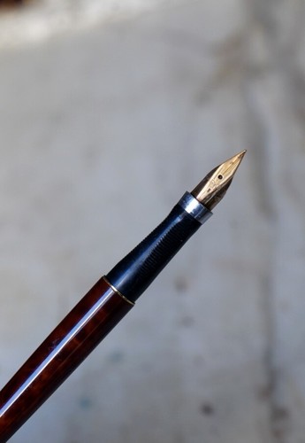 Beau stylo plume parker en - 75,