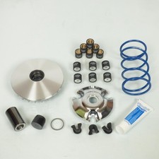 Variateur Polini pour Scooter Piaggio 125 ZIP Après 2000 Neuf