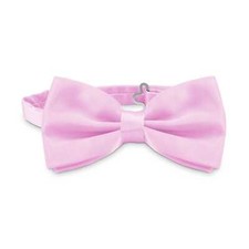 Noeud papillon élégant de